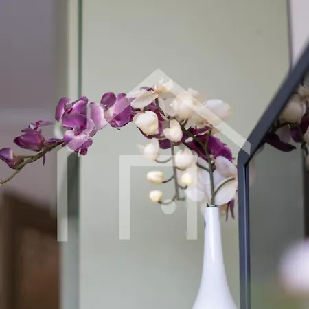 Cimadevilla شقة *